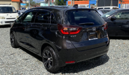 Honda Fit 2020 lleno