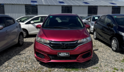 Honda Fit 2019 lleno